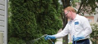 Is preventative pest control worth it? Year Round Pest Control Is It Worth It Moxie Services