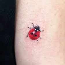 We did not find results for: Tattoo Uploaded By Steja I Couldn T Be Happier With This One I Ve Got A Chance From A Wonderful Client Who Trusts Me To Do This Super Minimalistic Ladybug It Is
