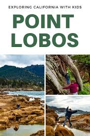 Short and scenic, this trail takes you past some. Things To Do At Point Lobos With Kids Oh My Omaha