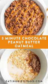 3 Minute Chocolate Peanut Butter Protein Oatmeal Eating Bird Food Recipe Healthy Sweet Snacks Healthy Oatmeal Recipes Protein Oatmeal