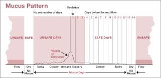 Ovulation Chart Baby Gender Selection Baby Girl Boy To