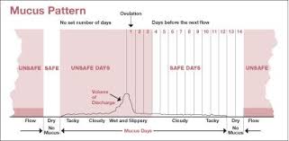 ovulation chart baby gender selection baby girl boy to