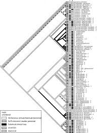 Image result for Launaea rarifolia