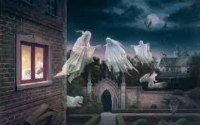 We did not find results for: 780 Halloween Hd Wallpapers Background Images