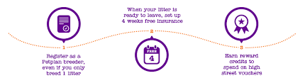 Petplan (pet insurance) · protect the pets you love. Petplan Breeder Website