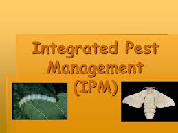 There are various advantages and disadvantages of integrated pest management: Integrated Pest Management Ipm Ppt Video Online Download