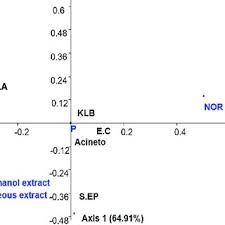 Image result for Menisorus pauciflorus