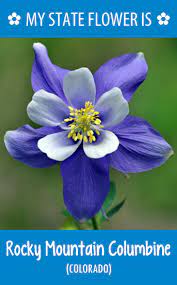 Pin On Hometalk State Flowers