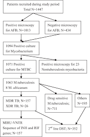 This means that the drug can no longer kill the bacteria. Prevalence And Molecular Characterization Of Multidrug Resistant M Tuberculosis In Jiangxi Province China Scientific Reports