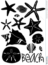 There are many different species of sand dollars. Seashells Sand Dollar Beach Set Illustration 30302995 Megapixl