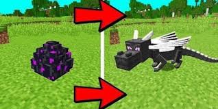 How do you hatch eggs in minecraft? Download Mod For Minecraft Dragon Egg Free For Android Mod For Minecraft Dragon Egg Apk Download Steprimo Com