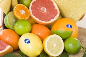 Microscopic inside of a grapefruit. Citrus Pests Agriculture And Food
