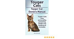 We did not find results for: Toyger Cats Toyger Cat Owners Manual Toyger Cats Care Personality Grooming Health And Feeding All Included Amazon De Hoverstone Mr Henry Fremdsprachige Bucher