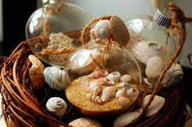 Kết quả hình ảnh cho ốc biển