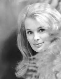 The Enchanting Beauty of Linda Evans in “The Big Valley” | Old-fashioned  Image and Retro Artworks...