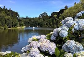 Maybe you would like to learn more about one of these? Passeio Tour Gramado E Canela Compra De Ingressos