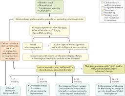 Ulcerative Colitis Nature Reviews Disease Primers