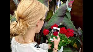 Apps are now available for most states and some canadian provinces. The 3 Best Free Plant Identification Apps Of 2020 For Dayton Gardeners Stockslagers Greenhouse Garden Center