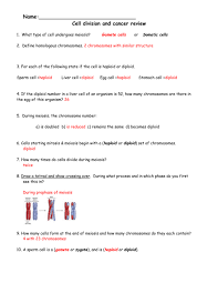 Check spelling or type a new query. Meiosis Review Worksheet