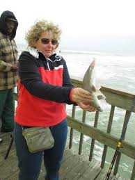 Fishing sites close to daytona beach shores (sunglow pier) Shark Picture Of Sunglow Fishing Pier Daytona Beach Tripadvisor