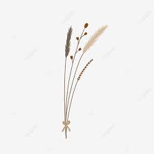 Fiori secchi png / ramo mediterraneo oro a 5 rami fiori artificiali fiori secchi. Fiori Essiccati Beige Decorazione Fiori Secchi Fiori File Png E Psd Per Download Gratuito