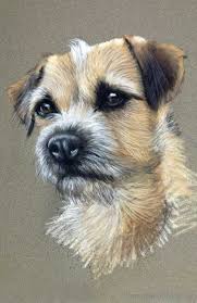 Submitted 5 days ago by goral17. Pastel Dog Portraits By Nina Squire The Pastel Artist Dog Portraits Pet Portraits Dog Paintings