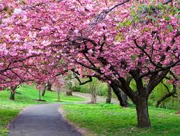 1 de rezultate pentru eticheta prognoza meteo saptamana viitoare. Meteo Prognoza PanÄƒ La Sfarsitul Lunii Mai Temperaturile Cresc De SÄƒptÄƒmana Viitoare