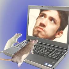 Nuevo Overwatch 2 OWCS Juno Skins 🏆 Estas pieles de Hogar & Away  probablemente estarán disponibles como recompensa de espectadores para un  futuro #OWCS emisión.