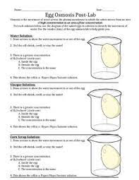 Osmosis is the diffusion of water across a selectively permeable membrane. Egg Osmosis Lab Report Osmosis Biology Experiments Lab Report