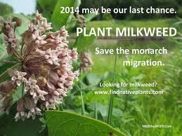 Pin On Plant Ideas