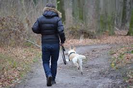 „soweit von dem toten tier keine seuchengefahr ausgeht, ist es auch weiterhin erlaubt, die tiere im garten zu begraben informiert punz. Leinenpflicht In Deutschland Wo Ist Ein Hund An Der Leine Zu Fuhren Und Wo Nicht