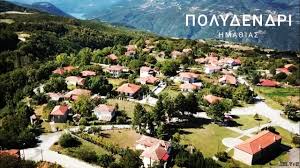 Ο παραλιακός οικισμός πολυδένδρι είναι χτισμένος μέσα σε οργιώδη βλάστηση, . Polydendri Hma8ias Ka8hmerines Apodraseis Youtube