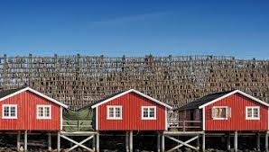 'norwegens fjorde' oder 'highlights am polarkreis', sodass schon alleine am routennamen eine leichtere räumliche einordnung des. Molde Und Seine Sehenswurdigkeiten