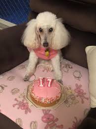 Happy 17th birthday to gangaa