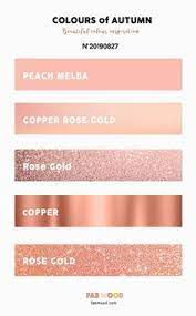 Create custom hex color codes using hex color picker tool. Rose Gold Color Rgb Code Novocom Top