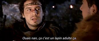 Depuis, luffy porte son chapeau de paille qu'il lui a offert pour marquer la promesse de devenir un grand pirate. Idees Fantastiques Gif Kaamelott Leodagan Abdofolio
