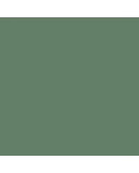 Image result for Jade Glint Green 1959 Edsel