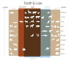 Allah almighty says, the game of the. Information Is Beautiful On Twitter Kosher Halal Food Rules Intersected Explained Why Is Jello The Real Bone Of Contention Here Https T Co Rkp1ygb3jx Https T Co Lzur5oxp4k