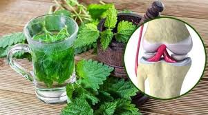 Omas Hausmittel Gegen Asthma Bronchitis Husten Und Omas Hausmittel Gegen Asthma Bronchitis Husten Und Lungenbeschw Hausmittel Omas Hausmittel Avocado Essen