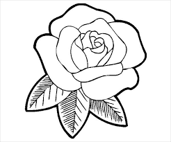 Search through 623,989 free printable colorings at getcolorings. Free 9 Rose Coloring Pages In Ai