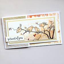 Working with alcohol in the aqua painter is so much easier than. Splitcoaststampers Card Making Rubber Stamping Paper Crafting