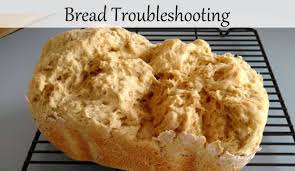 The easy way the dough setting allows you to make a variety of doughs. Some Things Are Just Not Meant To Be For Example Here S Some Gluten Free Bread That I Tried To Make Once Oka Bread Machine Bread Machine Recipes Bread