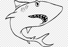 Great white shark pictures to color. Great White Shark Coloring Book Hammerhead Shark Bull Shark Shark White Child Png Pngegg