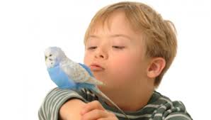 El síndrome de down (sd) es un trastorno genético causado por la presencia de una copia extra del cromosoma 21 (o una parte del mismo), en vez de los dos habituales, por ello se denomina también trisomía del par 21. Sindrome De Down Png Transparent Images Free Free Png Images Vector Psd Clipart Templates