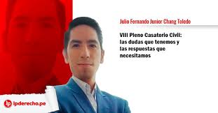 VIII Pleno Casatorio Civil Archivos