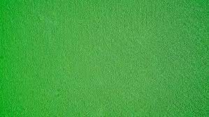3d hd wallpapers free download. 500 Green Pictures Hd Download Free Images On Unsplash