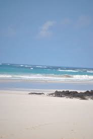 Tortuga Bay In The Galapagos Islands D Anyone Who Knows Me Knows My Obsession With Pirates Of The Carri Galapagos Ecuador Galapagos Islands Places To Travel