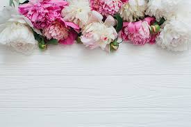 ❤ get the best pink flower white background on wallpaperset. Flower Arrangement 1080p 2k 4k 5k Hd Wallpapers Free Download Wallpaper Flare