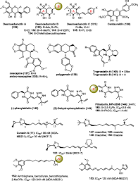 Image result for Ottelia lisowskii