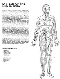 Everything has been classified in themes which are commonly used in primary. Human Anatomy Coloring Book An Entertaining And Instructive Guide To The Human Body Bones Muscles Blood Nerves And How They Work Coloring Books Dover Children S Science Books Matt Margaret Ziemian Joe